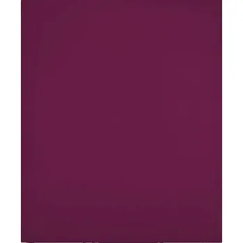 Prostěradlo Prostěradlo z bavlněného žerzeje bordó 160x200 cm