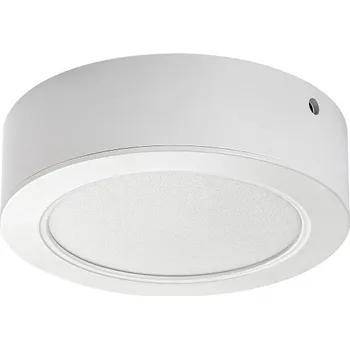 Přisazené svítidlo Rabalux 71194 SHAUN2 24W, 2600lm, 4000K, d220mm, bílá