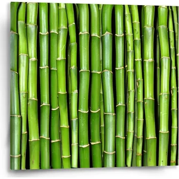 Obraz Sablio Obraz Bambus - 50x50 cm