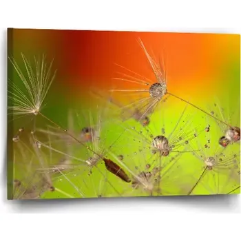 Obraz Sablio Obraz Odkvetlé pampelišky - 60x40 cm