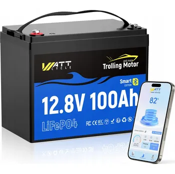 Trakční baterie Akumulátor WattCycle 12V 100Ah