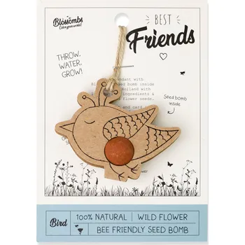 Blossombs Semínková bomba - Dárková dekorace "Nejlepší kamarádi" - Ptáček (1 ks)