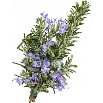 Esenciální olej Artmade 50 ml