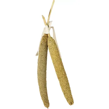 Krmivo pro ptáka JR Birds Proso perlové pro ptáky 40g