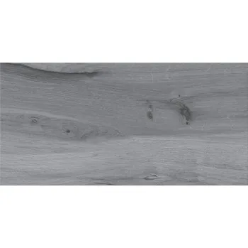 Obklad Cersanit Ashville grey 29,7x59,8 (W991-001-1)