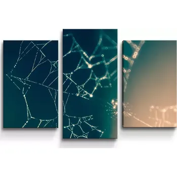 Obraz Sablio Obraz - 3-dílný Pavučina - 75x50 cm