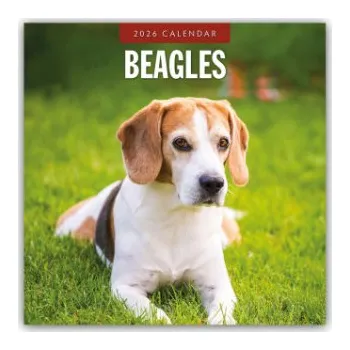 Diář Beagles - Beagle 2026 - 16-Monatskalender (EN)