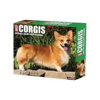 Kalendář Corgis 2026 5.4 X 6.2 Box Calendar (EN)