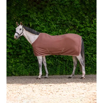 Jezdectví Odpocovací deka Waldhausen Economic - s křížovým zapínáním, hnědá, 155 cm