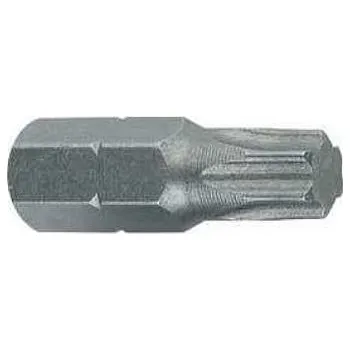 Bit Kotevní technika Bit Torx 40 S2 25mm