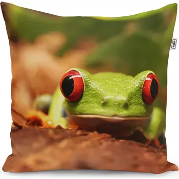 Polštář Sablio Polštář Zelená žába - 40x40 cm