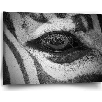 Obraz Sablio Obraz Oko zebry - 60x40 cm