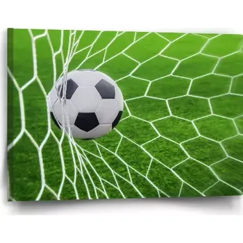 Obraz Sablio Obraz Fotbalový míč v bráně - 60x40 cm
