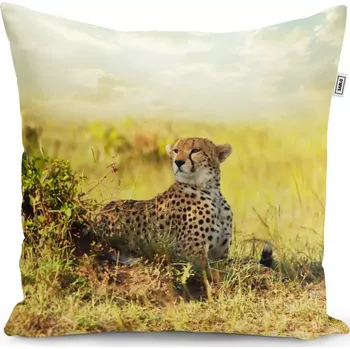 Polštář Sablio Polštář Gepard - 60x60 cm