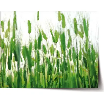 Plakát Sablio Plakát Klasy - 60x40 cm