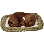 Perfect Petzzz Spící labrador v pelíšku…