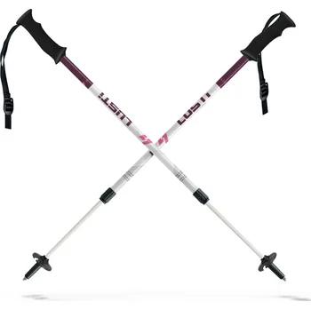 Sjezdová hůlka Sjezdové hole LUSTI KIDS JS WHITE