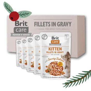 Krmivo pro kočku 24 xBCC Kitten. Fillets in Gravy with Savory Salmon 85 g