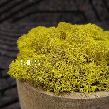 umělá květina Stabilizovaný mech Lišejník LEMON - 1000g