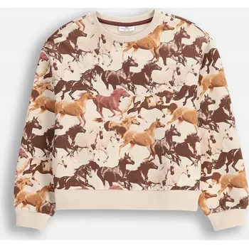 Chlapecké oblečení Dětská mikina bavlna Coccodrillo velikost 134