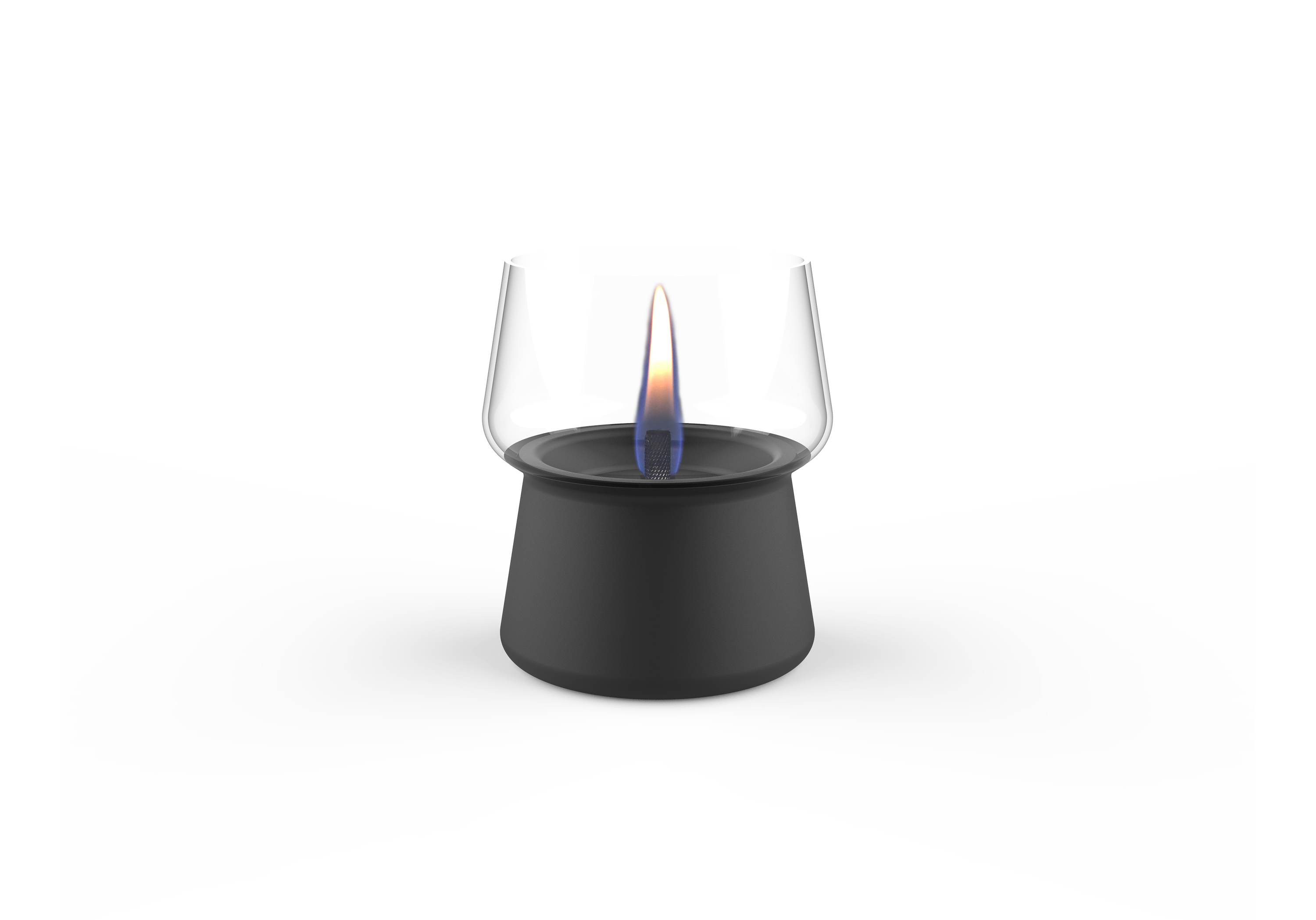 Tenderflame Amaryllis 10 Barva: Black