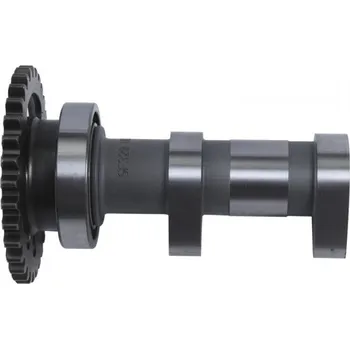 Vačková hřídel Camshaft intake HOT CAMS 2320-1IN