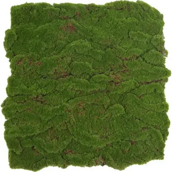umělá květina Umělá živá zelená stěna MECH struktura, 50 x 50cm