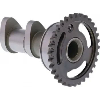 Vačková hřídel Camshaft intake HOT CAMS 2218-1IN