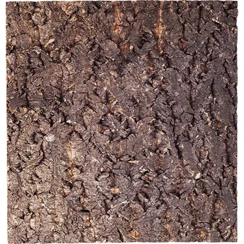 Dekorace do terária Repti-Zoo Velký strom – pozadí z kůry do terária 19x17 cm