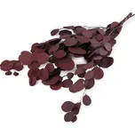 Stoklasa Stabilizovaný eukalyptus svazek