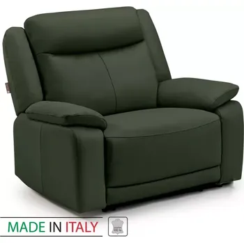 Křeslo Kožené křeslo CONTINENTAL 1P, zelená (green 321)