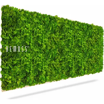 Obraz Mechový obraz BEMOSS® MIMI - 40 x 40 cm