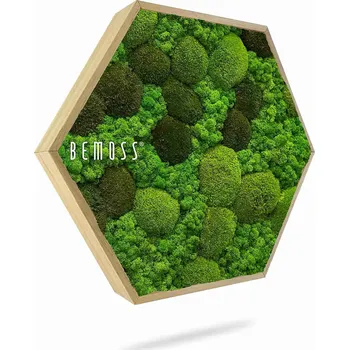 Obraz Mechový Hexagon BEMOSS® ORTHO MONETO - Průměr 30 cm (v nejširším místě šestiúhelníku)