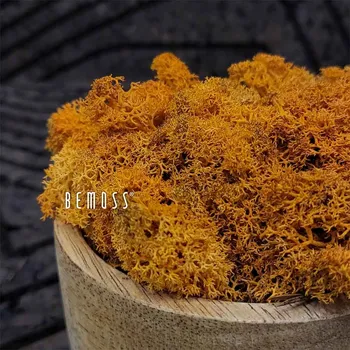 umělá květina Stabilizovaný mech Lišejník AUTUMN - 1000g