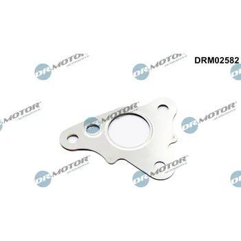 Těsnění, vedení AGR ventilu DR.MOTOR DRM02582