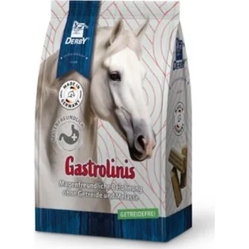 Pro koně Pamlsky pro koně Derby Gastro - 4 kg
