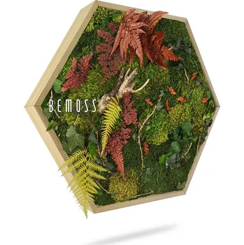 umělá květina Mechový Hexagon ROSTLINY Loreto - Průměr 30 cm (v nejširším místě šestiúhelníku)