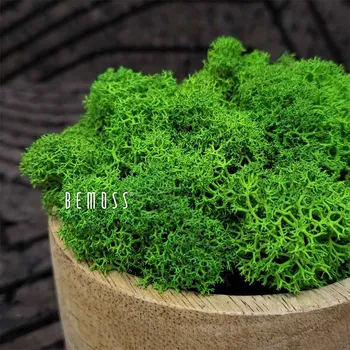 umělá květina Stabilizovaný mech Lišejník GREEN - 1000g