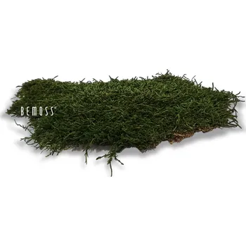 umělá květina Stabilizovaný mech Flatmoss Natural - 1000g