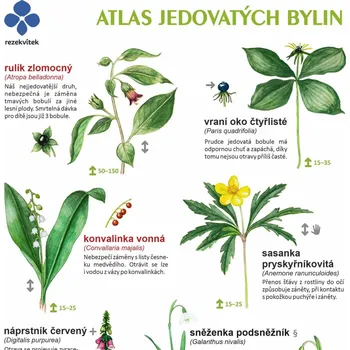 Příroda Rezekvítek Atlas jedovatých bylin