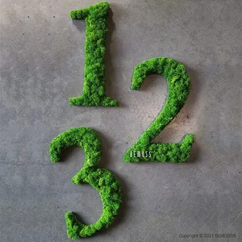 Mechové číslo - výška 25 cm