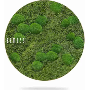 Obraz Mechový obraz kruh FLATMOSS &amp; BOLMOSS Aves - Průměr 40 cm