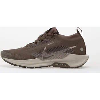 Dámské tenisky Tenisky Nike Pegasus Trail 5 Gore-Tex Ironstone/ College Grey-Velvet Brown EUR 40.5