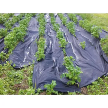 Mulčovací textilie Gutta GuttaAgro Zahradní textilie Agrotex (cena za m2) 1,6 x 25 m černá