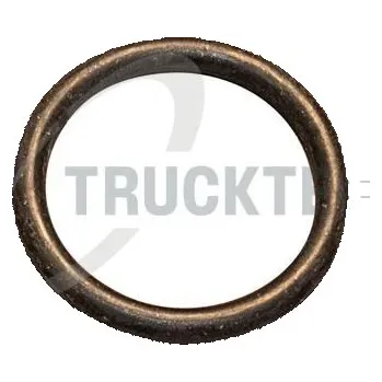 Automobilové těsnění Těsnění, koleno sacího potrubí TRUCKTEC AUTOMOTIVE 02.67.008