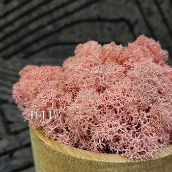 umělá květina Stabilizovaný mech Lišejník PINK - 1000g