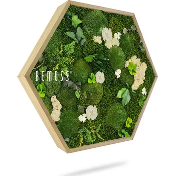 umělá květina Mechový Hexagon ROSTLINY Mesia Natural - Průměr 30 cm (v nejširším místě šestiúhelníku)