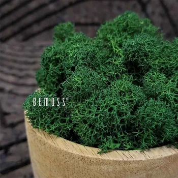 umělá květina Stabilizovaný mech Lišejník FOREST GREEN - 1000g