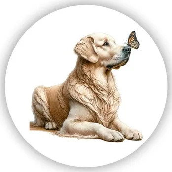 Dekorativní magnet Magnetka 65x65mm ve tvaru kruhu - zlatý retrívr