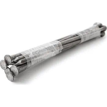 Hřebík LEGI Ocelové kotvící hřeby – 10 ks